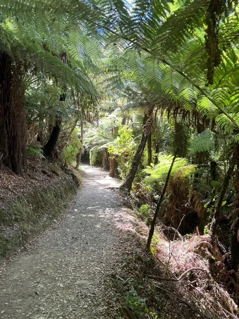 🏞️ Picton - A Hidden Gem for Outdoor Enthusiasts