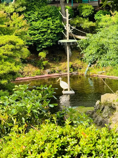 🌿🍃 Near Tokyo 🌸