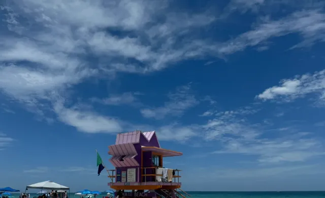 ​​Miami Travel Guide | Must-Know Tips Before You Go​​ 🌴