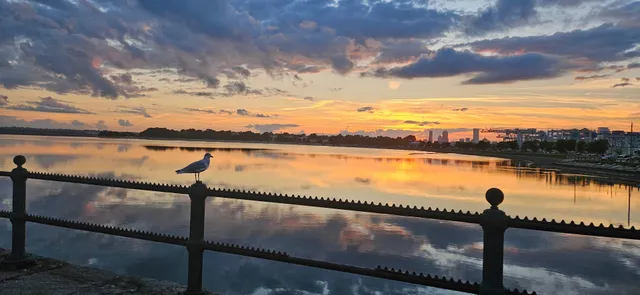 Castle Island & Harbor Walk - Boston’s Golden Hour Paradise 🌅🏃♀️  
