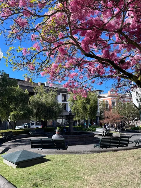 Quito Citywalk: A Half-Day "Special Forces" Tour 🇪🇨