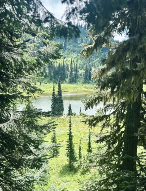 Seattle | Naches Peak Loop Trail – A Stunning Wildflower Paradise!  