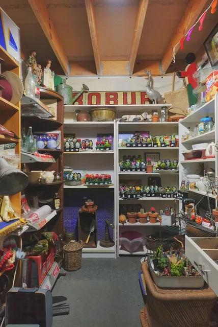 🇦🇺 Geelong Vintage Heaven｜A Must-Visit Before You Leave!