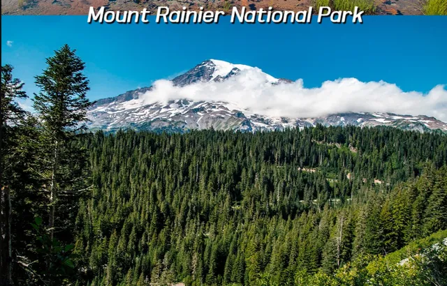 Seattle Travel Guide | Locals' Secret Spots