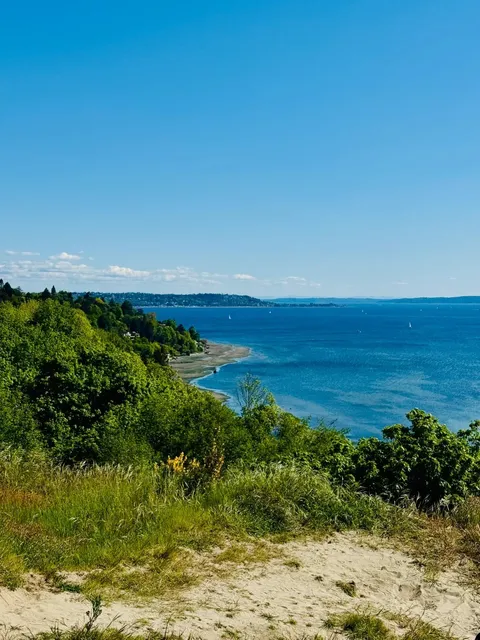 ​​Discovery Park Revisited | A Whole New Level of Magic 🌲✨​​