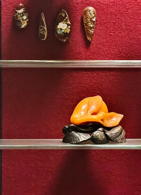 American Museum of Natural History(2)