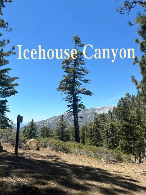 【LA Hiking】Icehouse Canyon 🥾⛰️  