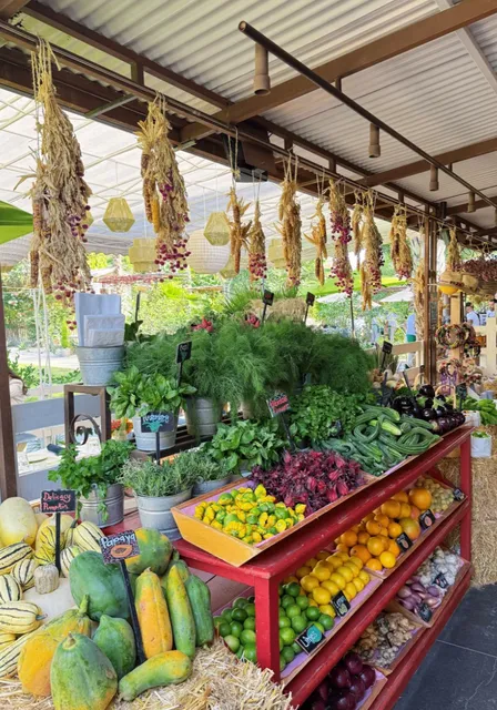 Flora Farm: Los Cabos' Most Enchanting Farm-to-Table Escape 🌿🍽️