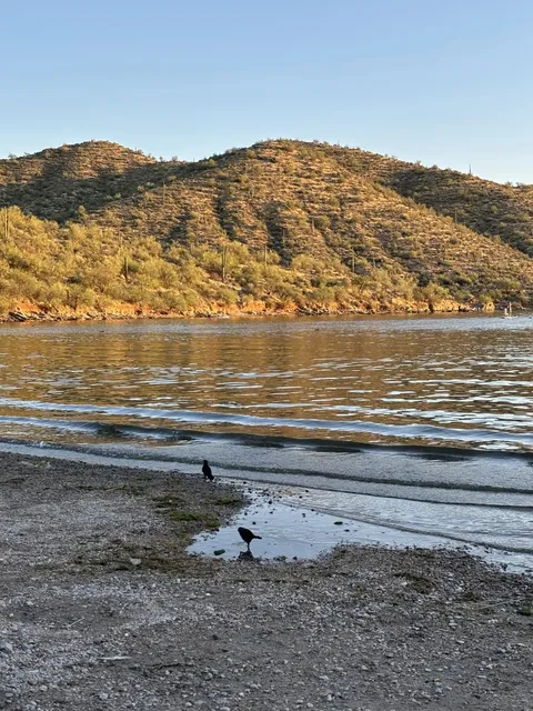 📍 Saguaro Lake | A Great Place to Cool Off in AZ on the Weekend 🏊‍♀️