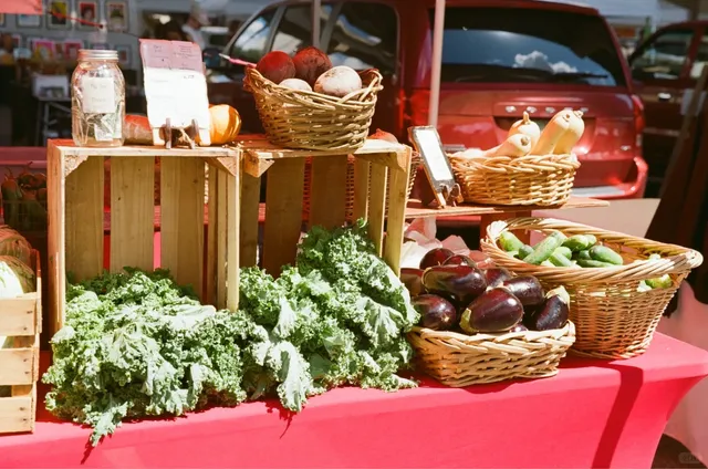 Film Memories: A Day Trip to Jacksonville, a Seaside Town