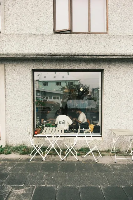 The Coziest Corner in Reykjavik ☕🌿