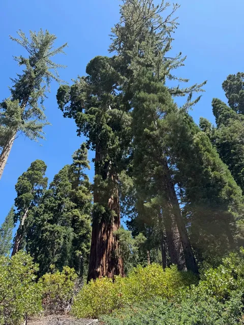 🏞️ Kings Canyon National Park