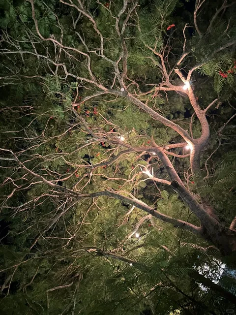 Seaside Tales from West Africa 🌊 | Dakar, Senegal 🇸🇳