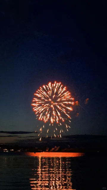 Around Boston | Bioluminescent Sea & Fireflies 💫
