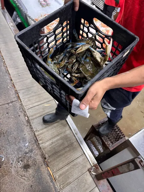 A Coastal Girl's Weekend of Seafood Redemption in DC