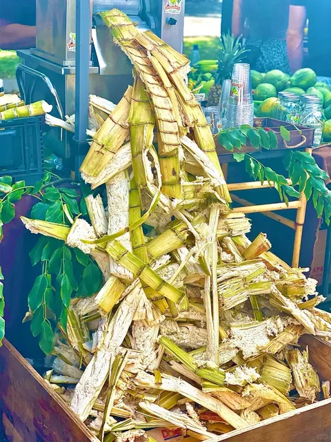 Honolulu, Hawaii | KCC Farmers Market – Grilled Abalone is a YES! 🙌