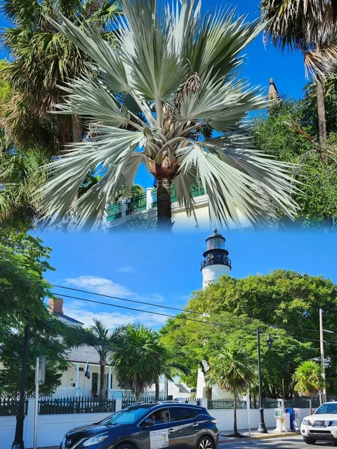 4 Days Exploring Miami's Top 5 Spots by Public Transport