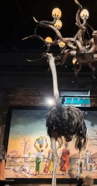 Baobab Lounge – An Authentic Safari Escape in the Heart of the City