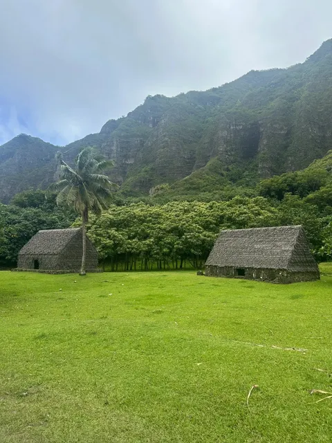 🇺🇸 Kualoa Ranch Movie Tour Guide (Worth ¥976 of Lessons Learned!)