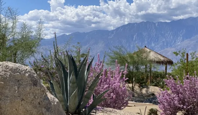Palm Springs Spa Guide: 9 Healing & Affordable Day Passes You Need Now