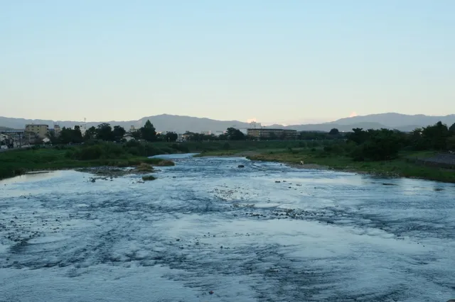 Gio-ji Temple 🌸🌿(2)