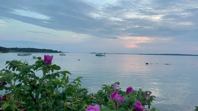 45 Days with My Parents in the US 