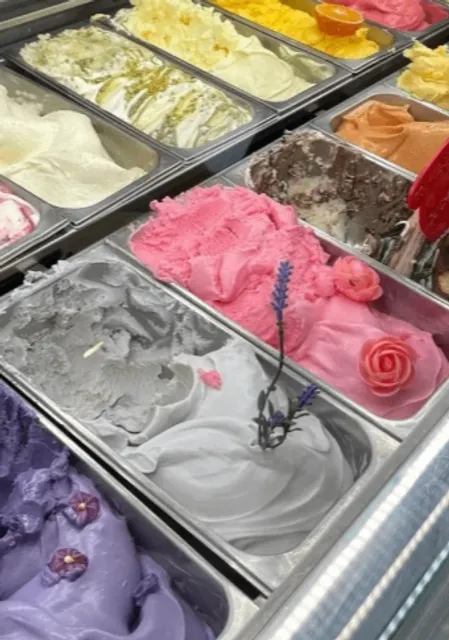  Lyon South France Trip | Detailed Transportation & City Safety Guide