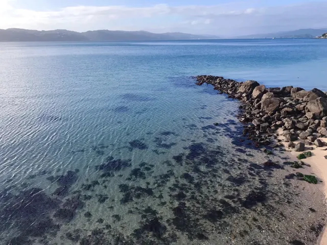 Must-See Attractions in Wellington, New Zealand 🇳🇿