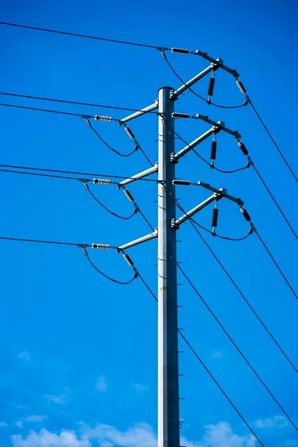 Terminal Island Street Shooting Diary