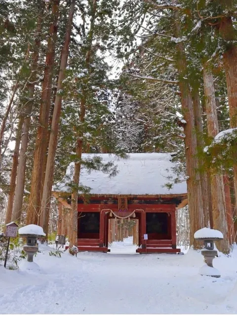 Togakushi Shrine 🌿✨