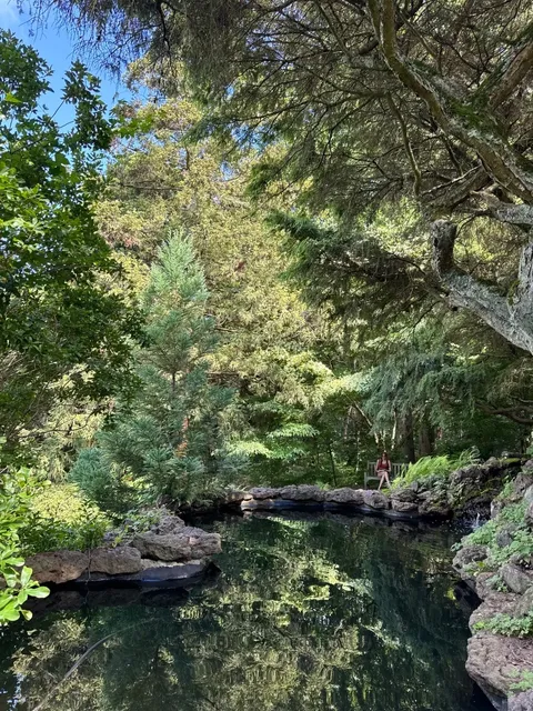 ​​New Jersey's Hidden Green Oasis ▎Deep Cut Gardens 🌿🌼​​