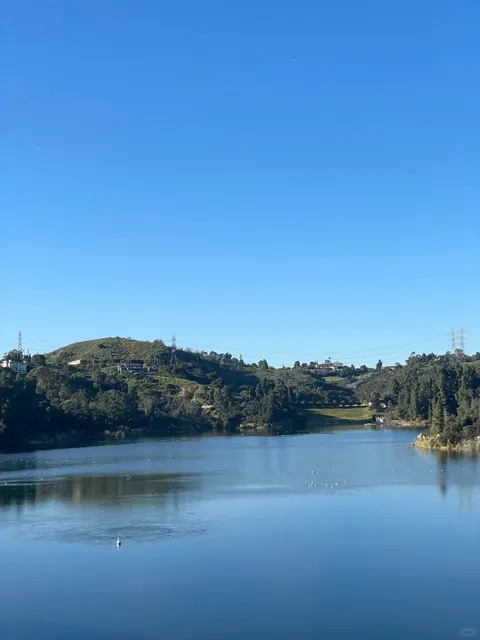 📷 A Different Kind of Hollywood Sign View