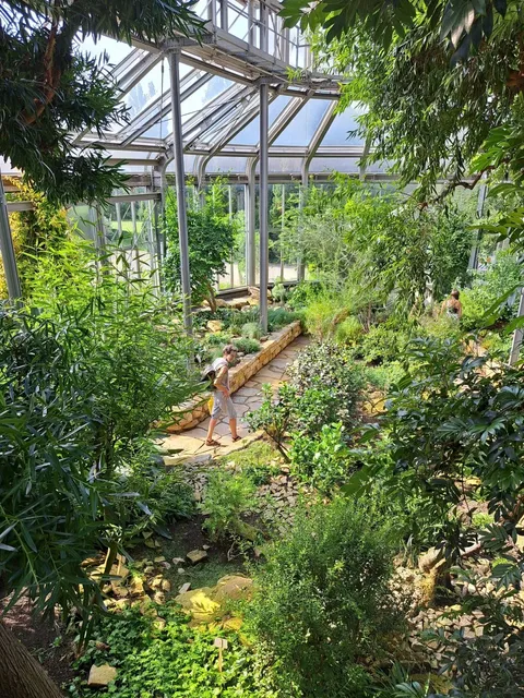 Berlin Travel 🇩🇪 Off the Beaten Path 🍀 Berlin Botanical Garden