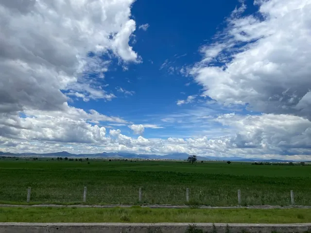 My First Week in Saltillo, Mexico 🇲🇽