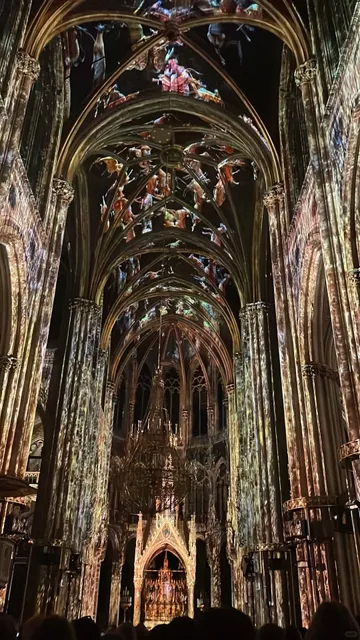 🇦🇹 Do These 2 Things on Your Two Nights in Vienna! ✨🎶