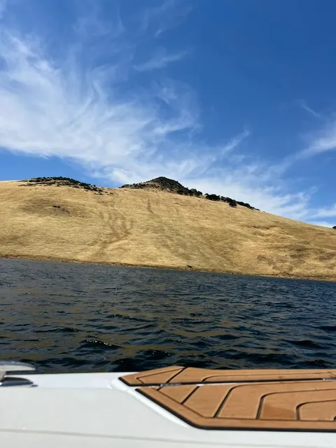 A Quick Note (SF Water is FREEZING 🥶)