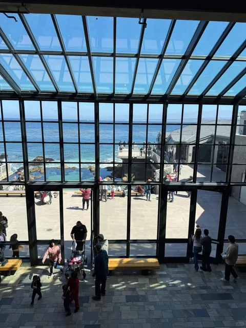 🌊 What to Do in Monterey in ONE DAY