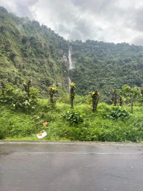 Fun for Everyone in Miami with Exoticca! 🌎✈️