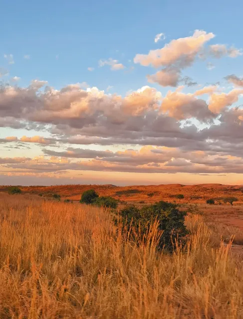 Madagascar: A Real-Life Ghibli Wonderland! 🌈