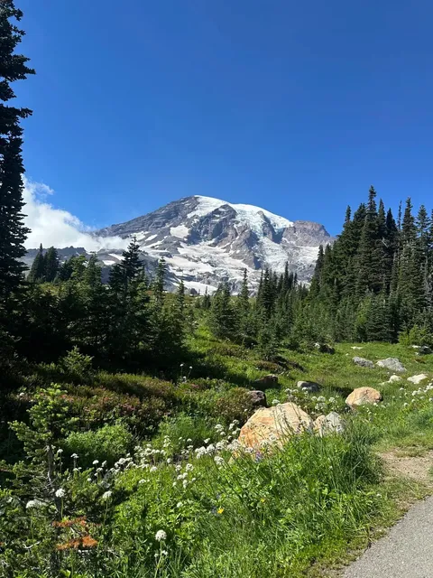 Mt. Rainier National Park — Skyline Trail Guide