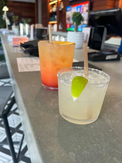 A Beautiful Arrival in Miami! 🌴✨