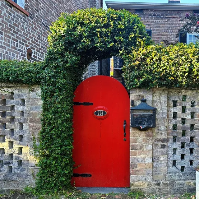 🇺🇸 OYSTER BLISS IN SAVANNAH