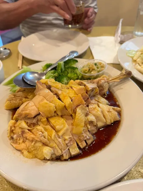 🌵 The Most Well-Cared-For Succulent Is Actually Me 🌵