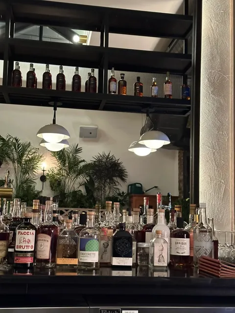 Chicago’s Newest Vibe-Filled Wine Bar — Nettare 🍷