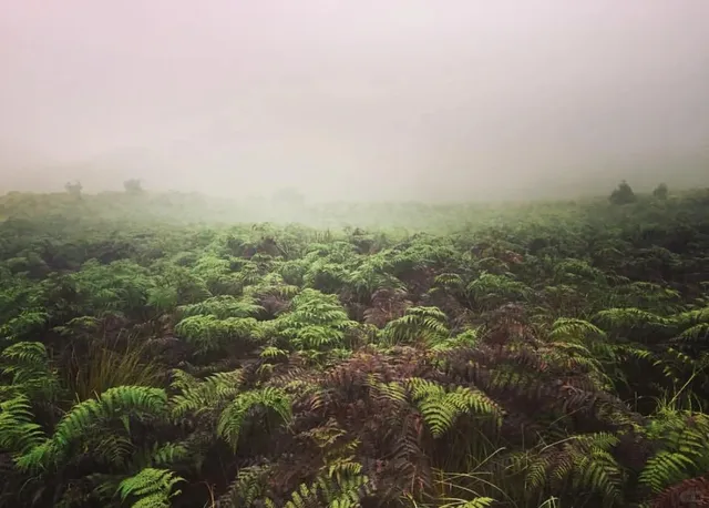 Travel recommendation of Sri lanka--Horton Plains National 