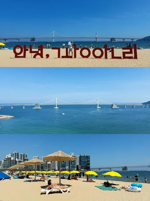  Busan Is Perfect for a Family Trip with Kids 🐙