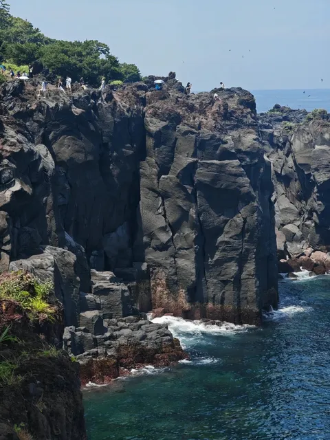 Japan | Izu Travel (3)🌟