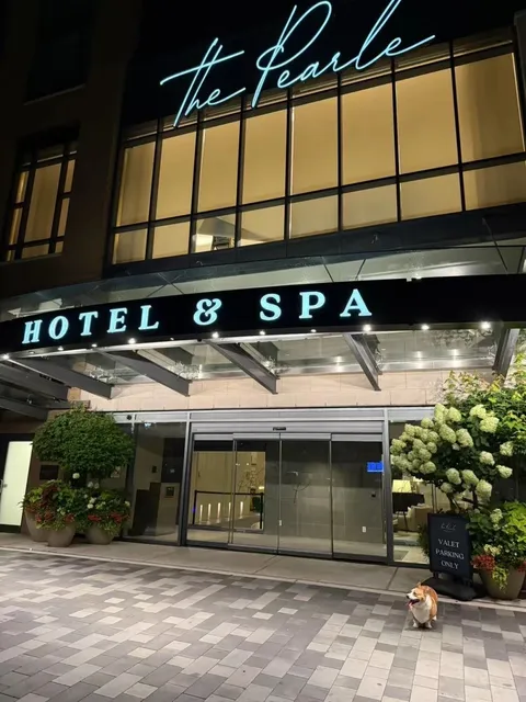 Burlington: A Sparkling Pearl on Lake Ontario🇨🇦