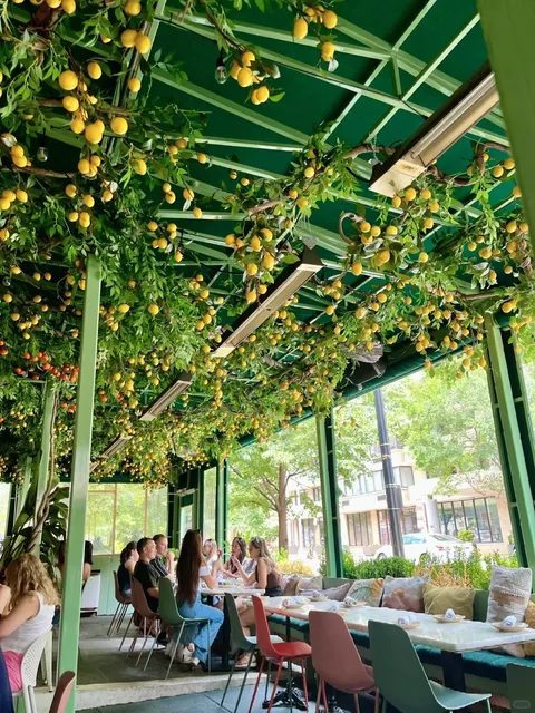 🇺🇸 Visiting a Pretty DC Restaurant – A Not-So-Ordinary Experience