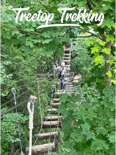 Toronto Summer Outdoor Activity - Treetop Trekking